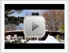 Real Snow: JP Walker
