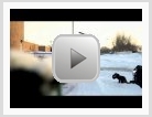Real Snow: Seth Huot