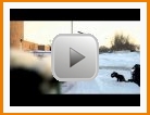 Real Snow: Seth Huot